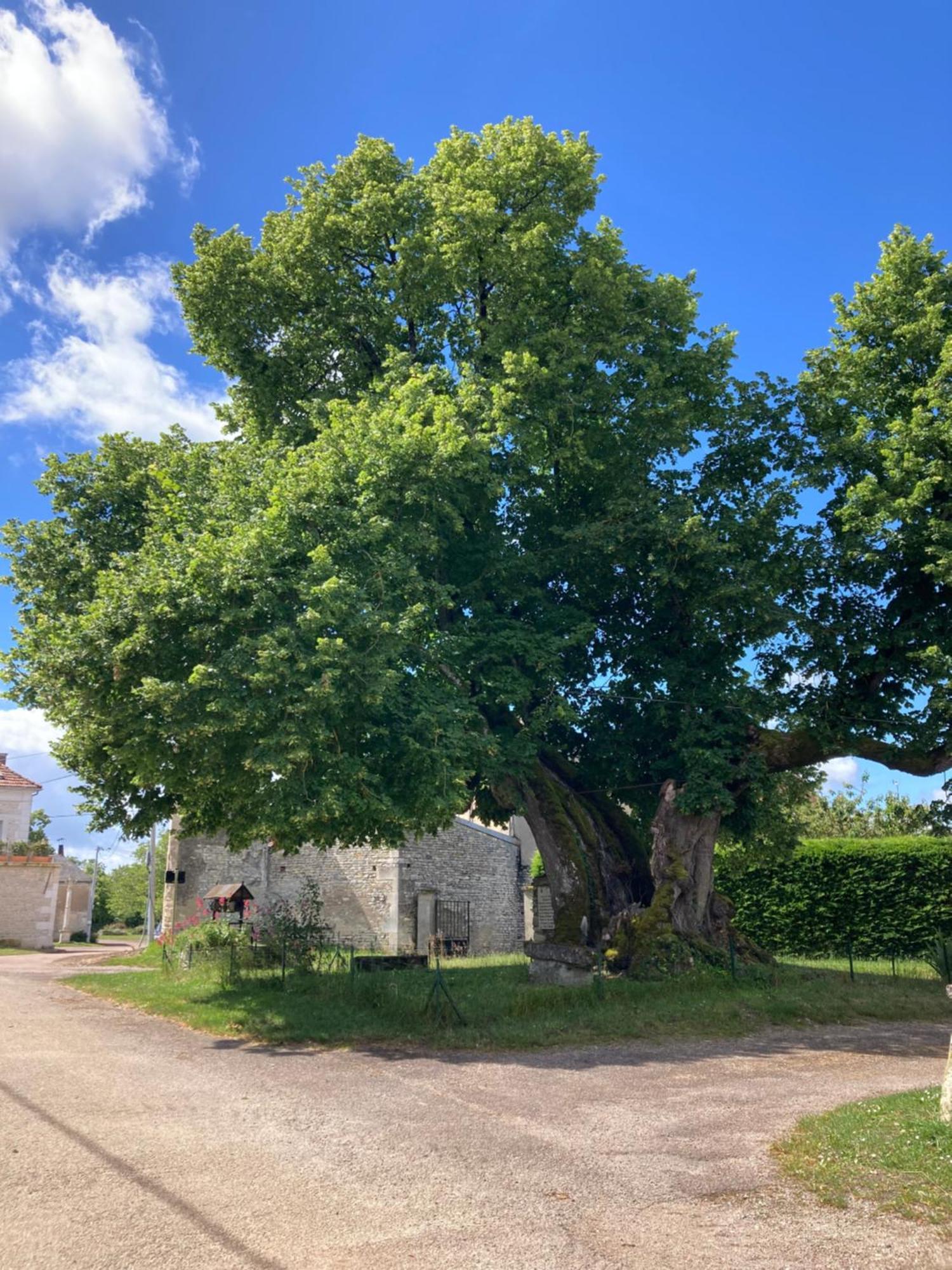 Longere Campagne 10 Pers. Proche Guedelon Hébergement de vacances Sougeres-en-Puisaye
